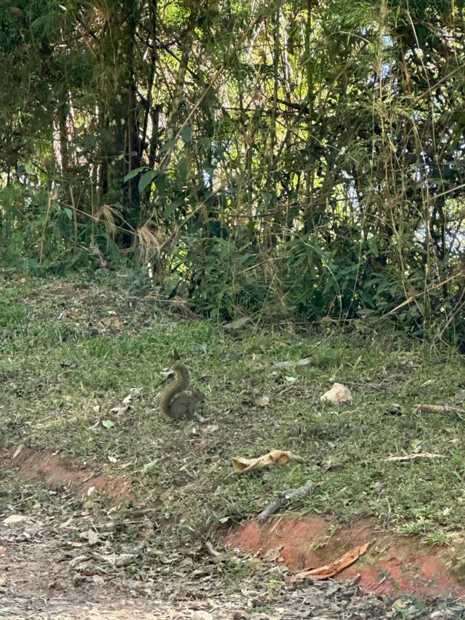 Acomodação com café da manhã  La Reserve Campos do Jordão