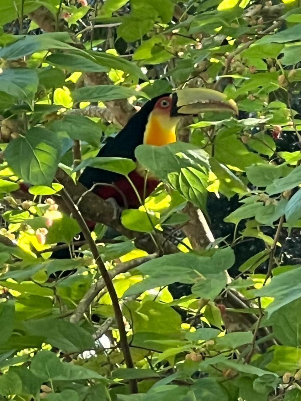 Acomodação com café da manhã  La Reserve