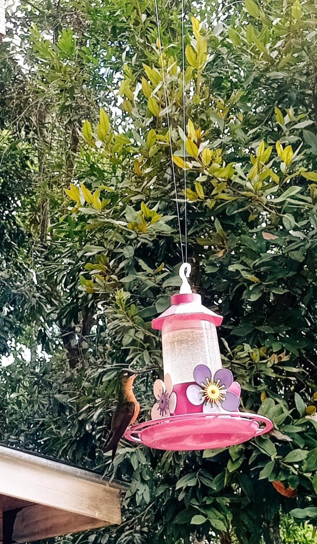 Acomodação com café da manhã  La Reserve *