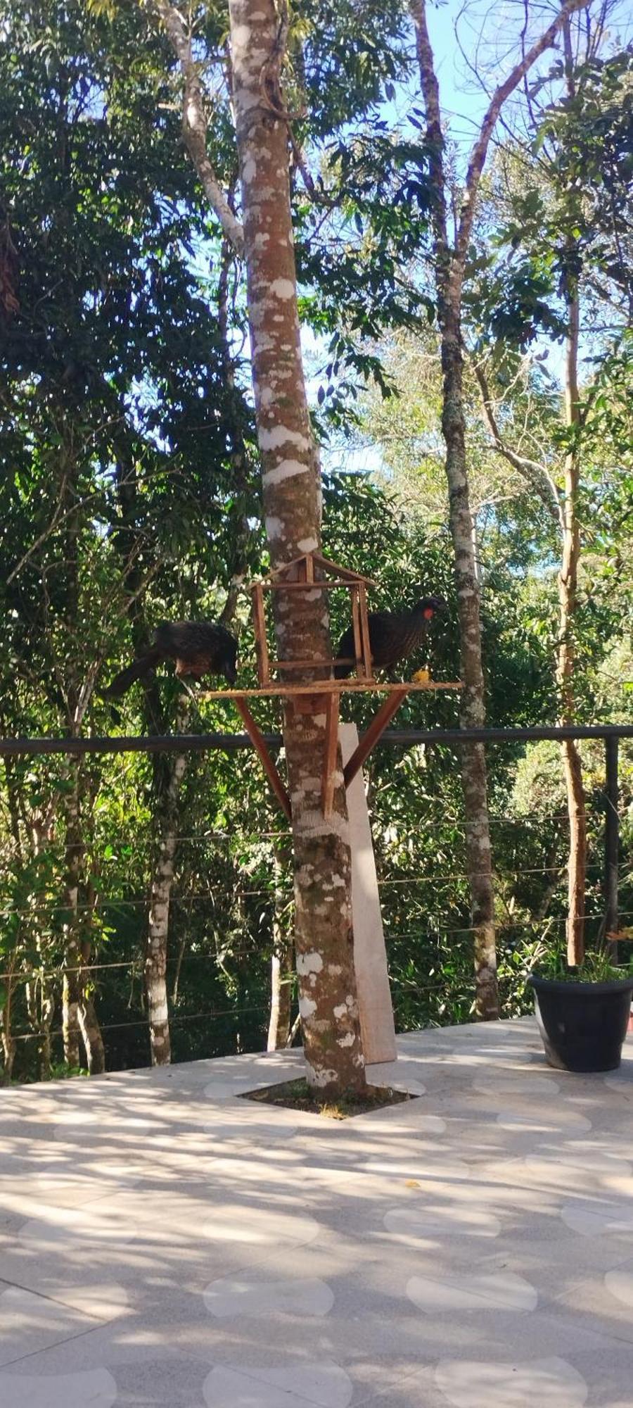 Acomodação com café da manhã  La Reserve Campos do Jordão