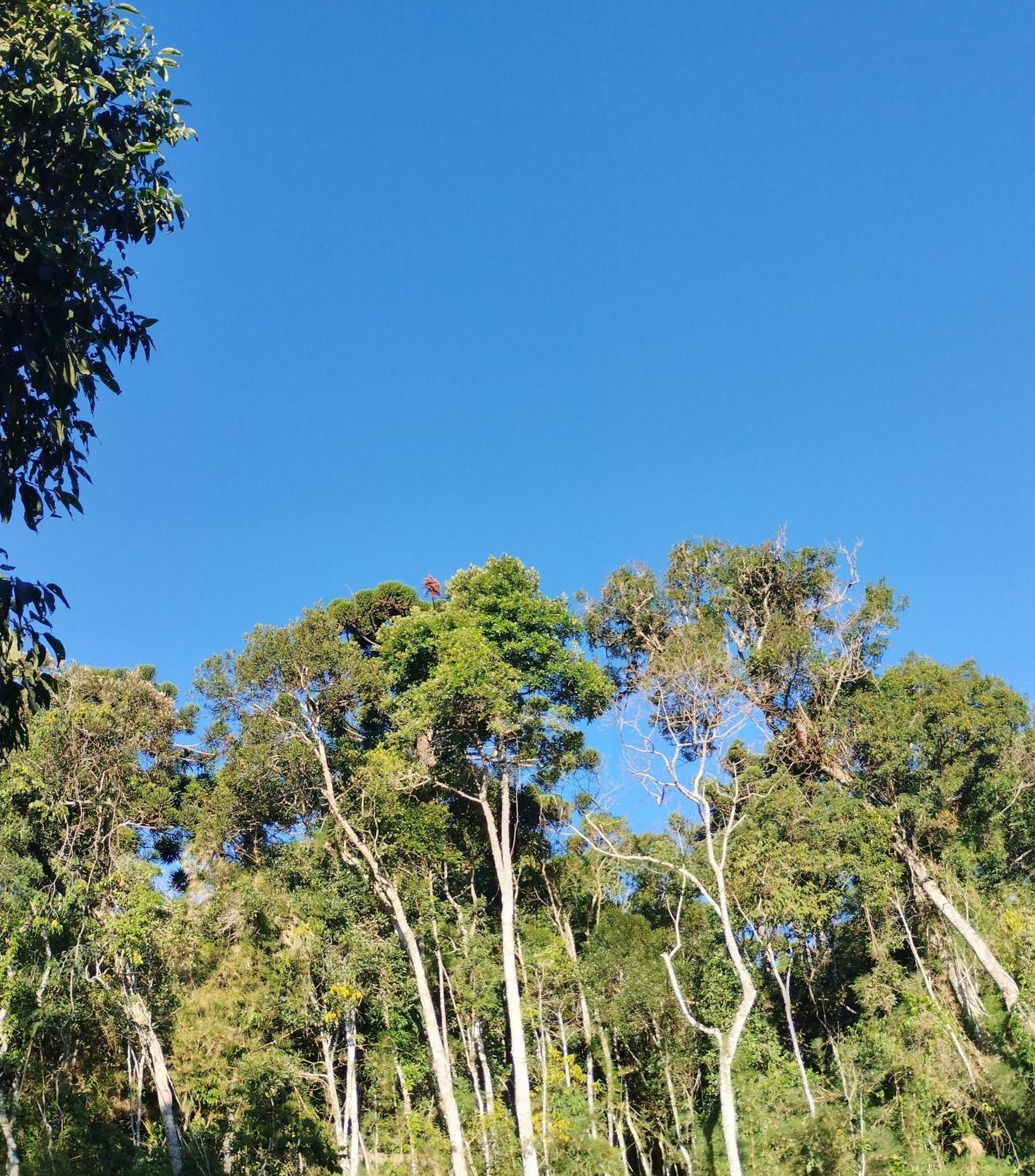 Acomodação com café da manhã  La Reserve *